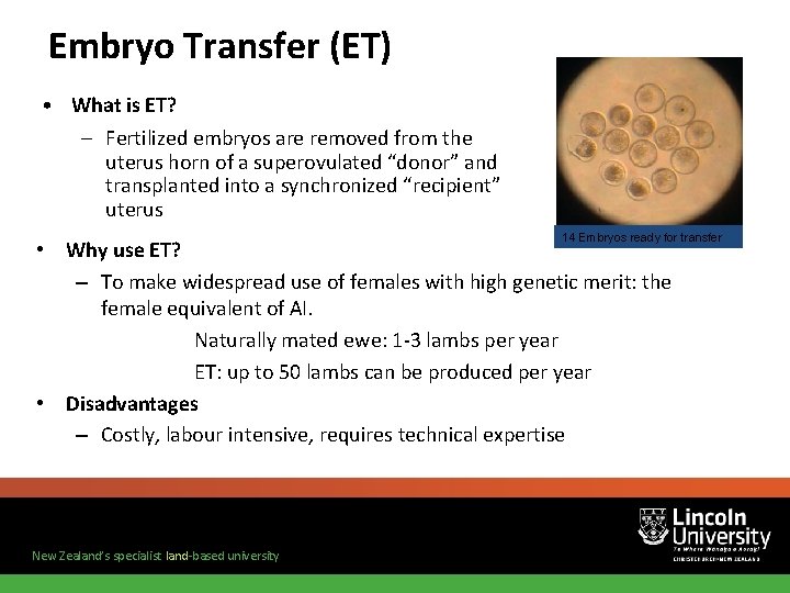 Embryo Transfer (ET) • What is ET? – Fertilized embryos are removed from the