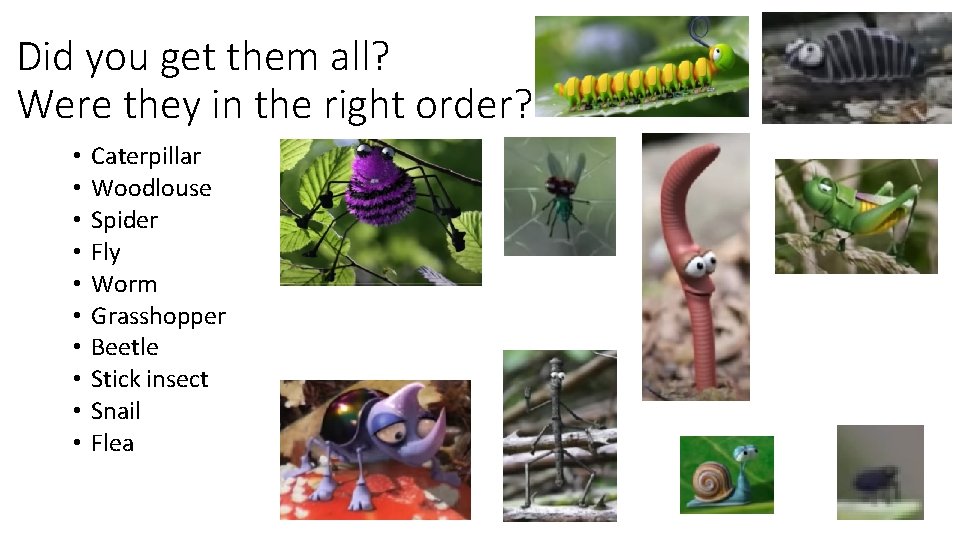 Did you get them all? Were they in the right order? • • • Did you get them all? Were they in the right order? • • •