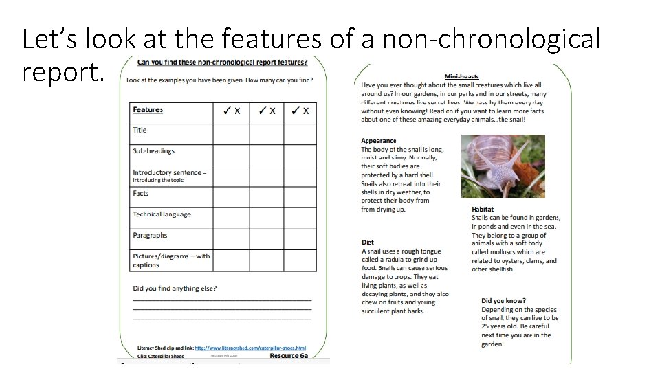 Let’s look at the features of a non-chronological report. Let’s look at the features of a non-chronological report.
