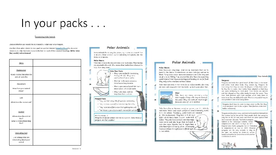 In your packs. . . In your packs. . .