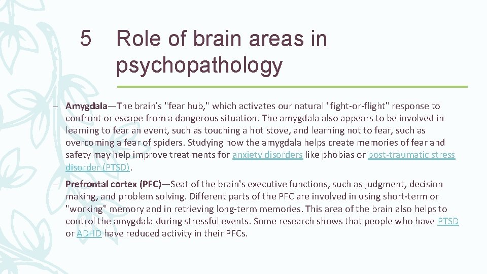 5 Role of brain areas in psychopathology – Amygdala—The brain's "fear hub, " which