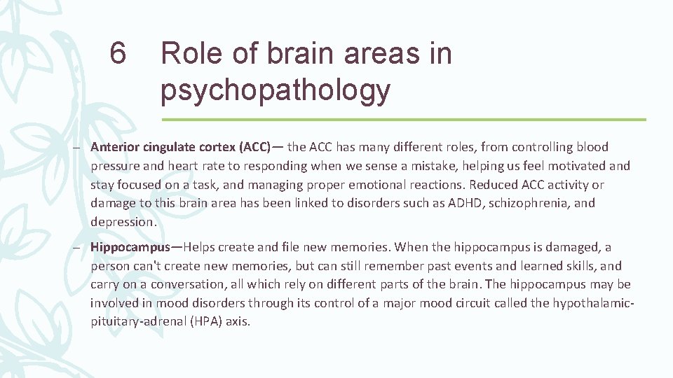 6 Role of brain areas in psychopathology – Anterior cingulate cortex (ACC)— the ACC