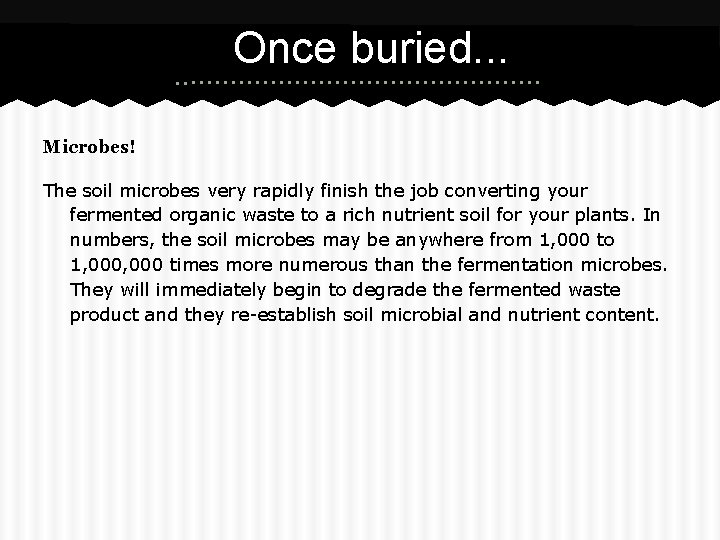 Once buried. . . Microbes! The soil microbes very rapidly finish the job converting