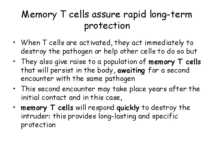 Memory T cells assure rapid long-term protection • When T cells are activated, they