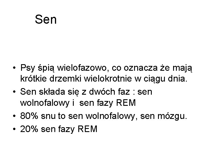 Sen • Psy śpią wielofazowo, co oznacza że mają krótkie drzemki wielokrotnie w ciągu