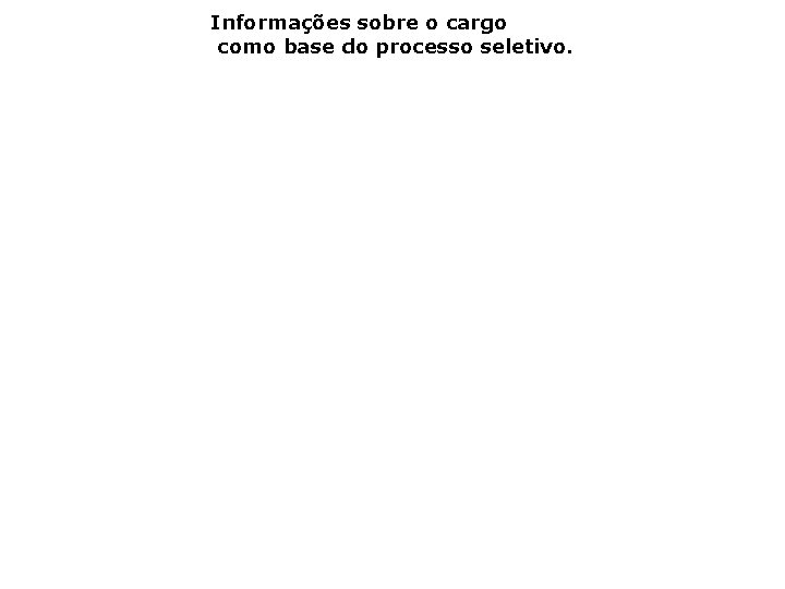 Informações sobre o cargo como base do processo seletivo. 