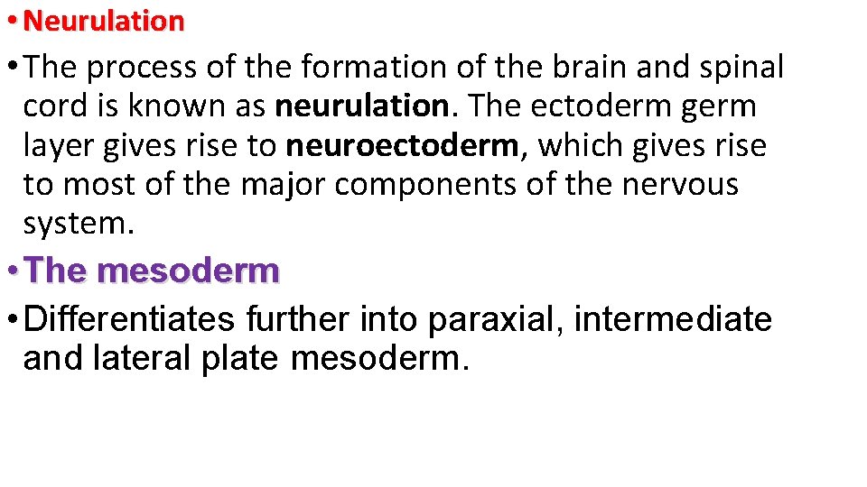  • Neurulation • The process of the formation of the brain and spinal