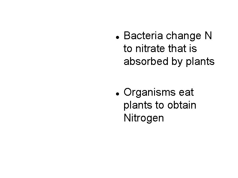  Legumes Bacteria change N to nitrate that is absorbed by plants Organisms eat