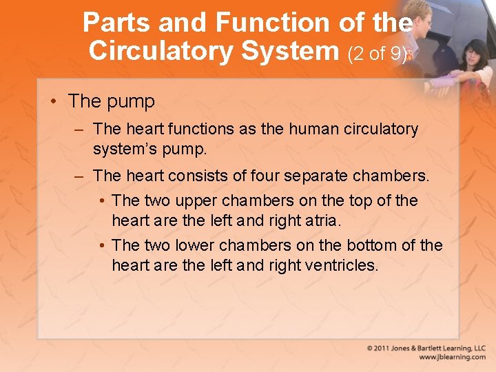 Parts and Function of the Circulatory System (2 of 9) • The pump –