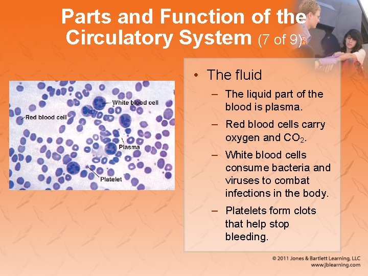 Parts and Function of the Circulatory System (7 of 9) • The fluid –