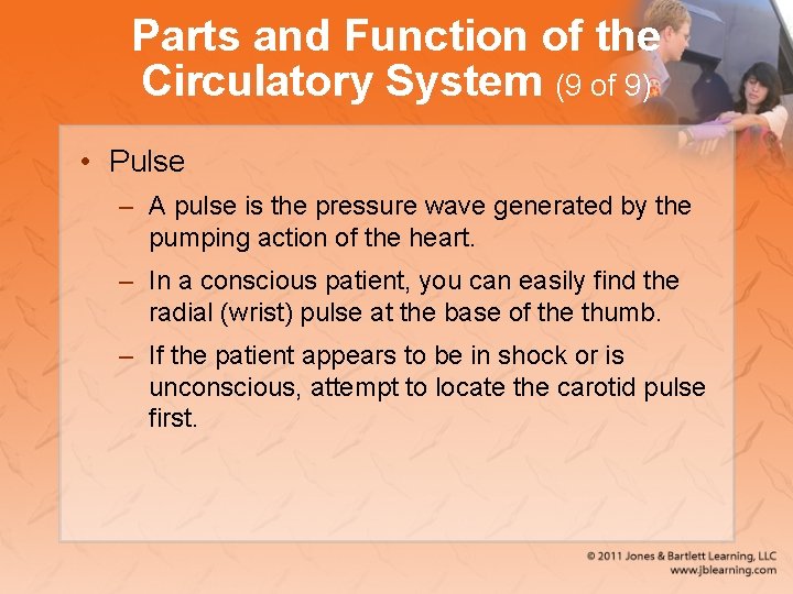 Parts and Function of the Circulatory System (9 of 9) • Pulse – A