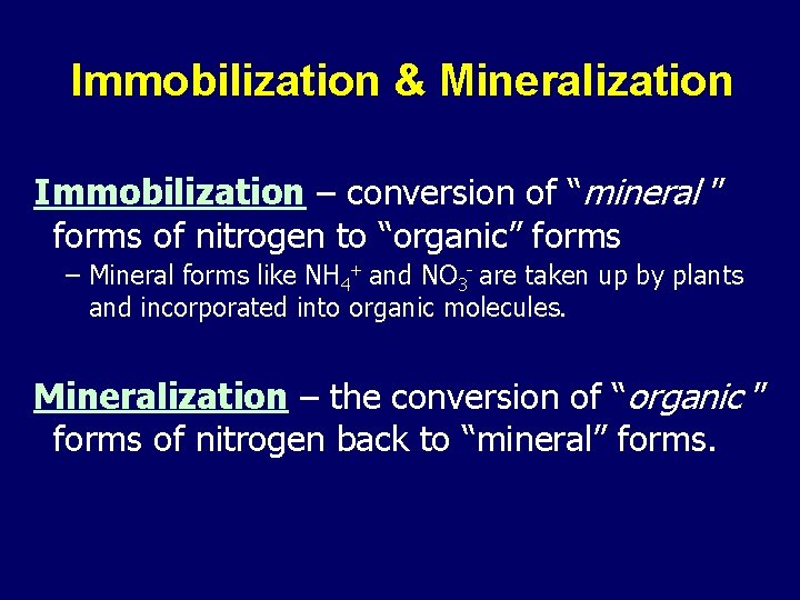 Immobilization & Mineralization Immobilization – conversion of “mineral ” forms of nitrogen to “organic”