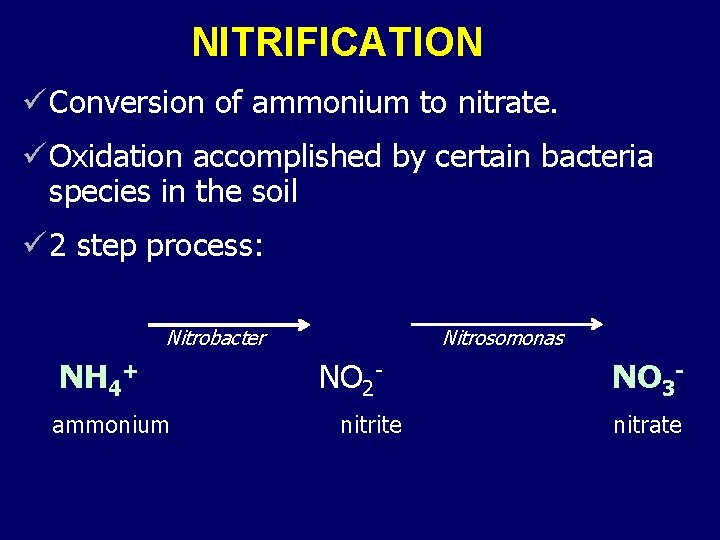 NITRIFICATION ü Conversion of ammonium to nitrate. ü Oxidation accomplished by certain bacteria species