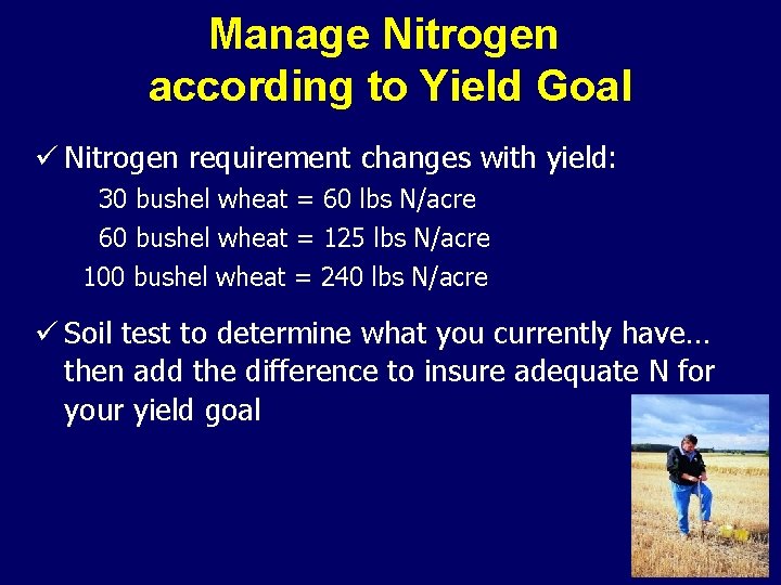 Manage Nitrogen according to Yield Goal ü Nitrogen requirement changes with yield: 30 bushel