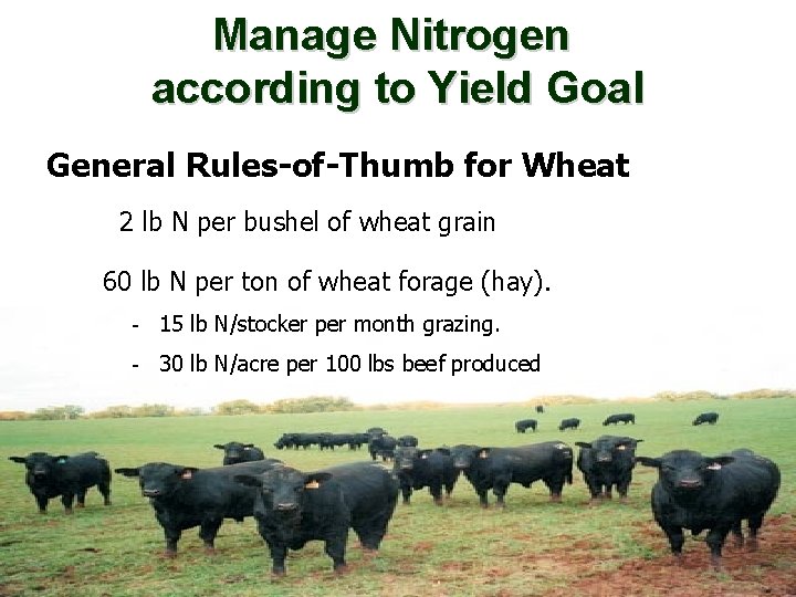 Manage Nitrogen according to Yield Goal General Rules-of-Thumb for Wheat 2 lb N per