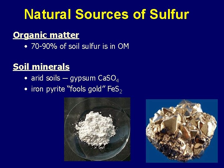 Natural Sources of Sulfur Organic matter • 70 -90% of soil sulfur is in