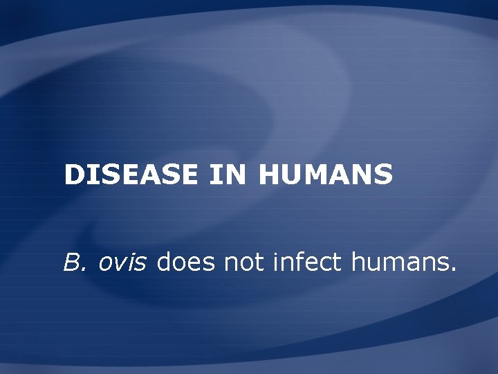 DISEASE IN HUMANS B. ovis does not infect humans. 