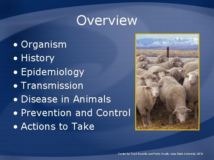 Overview • Organism • History • Epidemiology • Transmission • Disease in Animals •