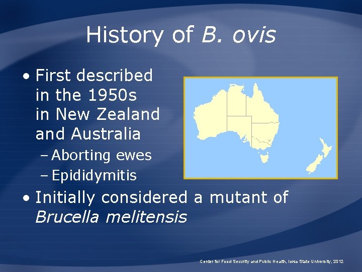 History of B. ovis • First described in the 1950 s in New Zealand