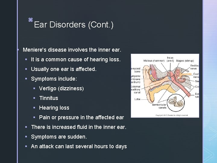 4 z z Ear Disorders (Cont. ) § Meniere's disease involves the inner ear.