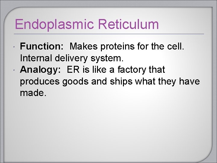 Endoplasmic Reticulum Function: Makes proteins for the cell. Internal delivery system. Analogy: ER is Endoplasmic Reticulum Function: Makes proteins for the cell. Internal delivery system. Analogy: ER is
