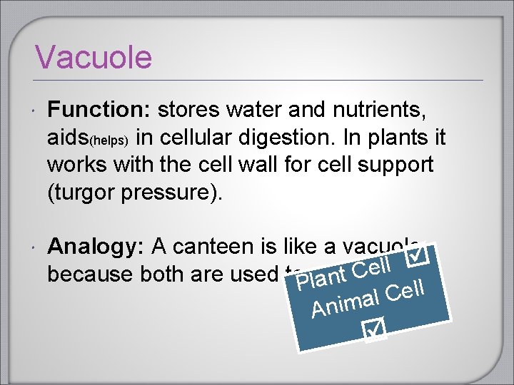 Vacuole Function: stores water and nutrients, aids(helps) in cellular digestion. In plants it works Vacuole Function: stores water and nutrients, aids(helps) in cellular digestion. In plants it works