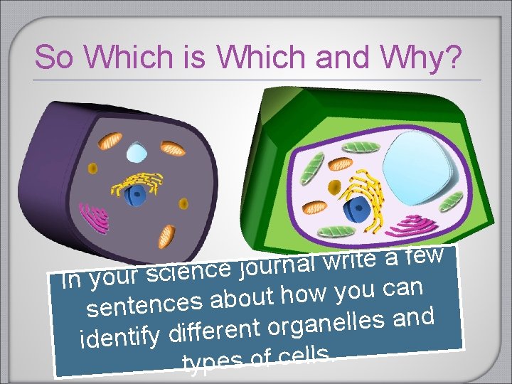 So Which is Which and Why? w e f a e t i r So Which is Which and Why? w e f a e t i r