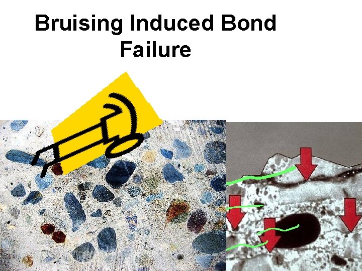 Bruising Induced Bond Failure 