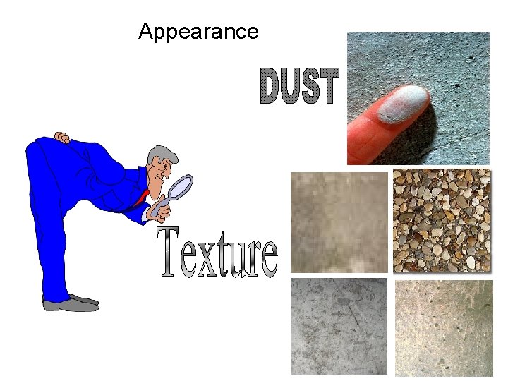 Appearance 