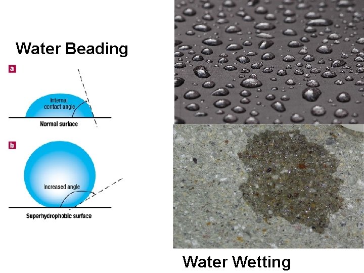Water Beading Water Wetting 