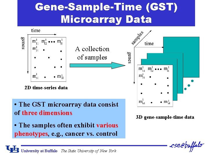 Gene-Sample-Time (GST) Microarray Data A collection of samples 2 D time-series data • The