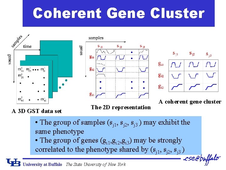 Coherent Gene Cluster A 3 D GST data set The 2 D representation A