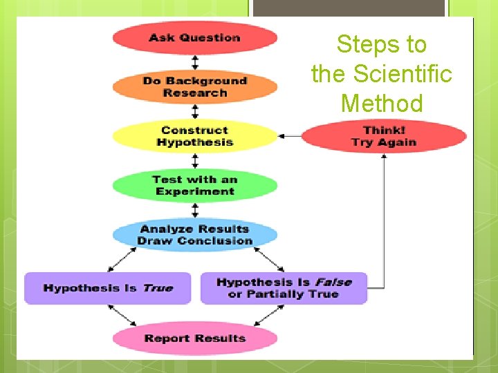 The Scientific Method SE Bio 2 B hypothesis