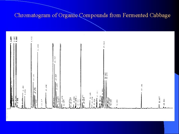 Chromatogram of Organic Compounds from Fermented Cabbage 