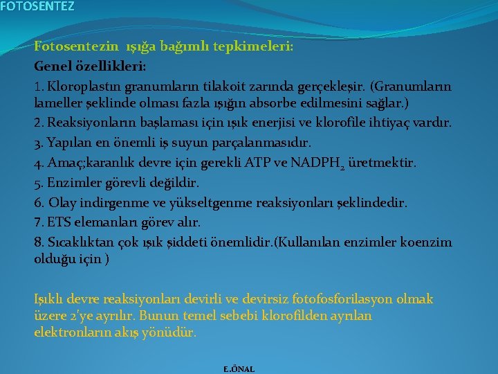FOTOSENTEZ Fotosentezin ışığa bağımlı tepkimeleri: Genel özellikleri: 1. Kloroplastın granumların tilakoit zarında gerçekleşir. (Granumların
