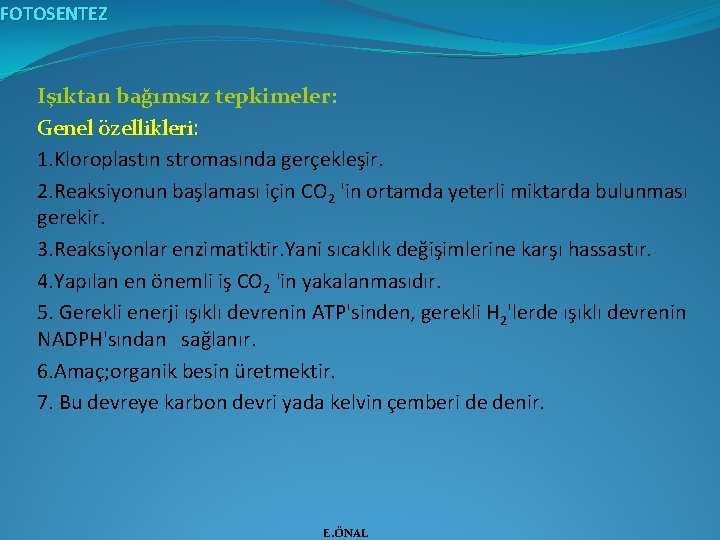FOTOSENTEZ Işıktan bağımsız tepkimeler: Genel özellikleri: 1. Kloroplastın stromasında gerçekleşir. 2. Reaksiyonun başlaması için