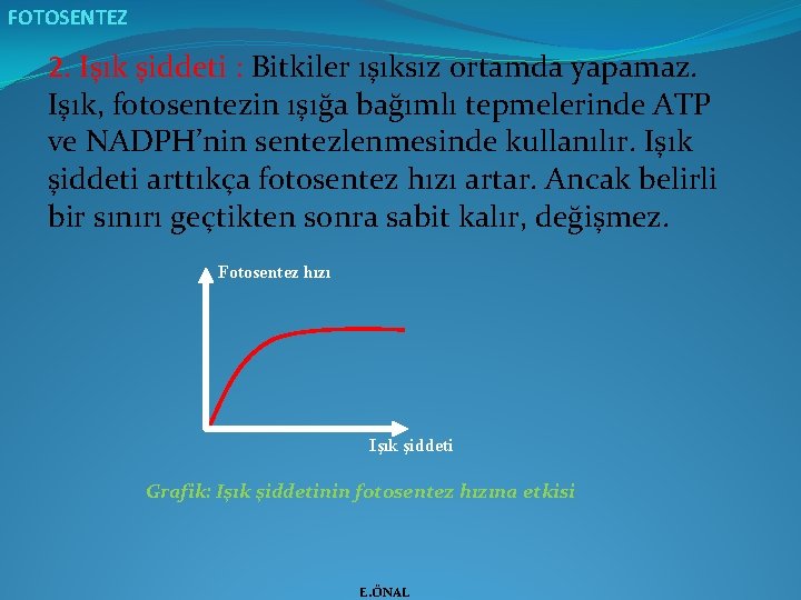 FOTOSENTEZ 2. Işık şiddeti : Bitkiler ışıksız ortamda yapamaz. Işık, fotosentezin ışığa bağımlı tepmelerinde