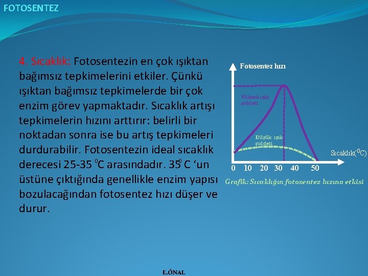 FOTOSENTEZ 4. Sıcaklık: Fotosentezin en çok ışıktan bağımsız tepkimelerini etkiler. Çünkü ışıktan bağımsız tepkimelerde