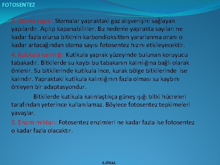 FOTOSENTEZ 3. Stoma sayısı: Stomalar yapraktaki gaz alışverişini sağlayan yapılardır. Açılıp kapanabilirler. Bu nedenle