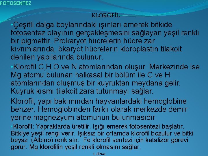 FOTOSENTEZ KLOROFİL • Çeşitli dalga boylarındaki ışınları emerek bitkide fotosentez olayının gerçekleşmesini sağlayan yeşil