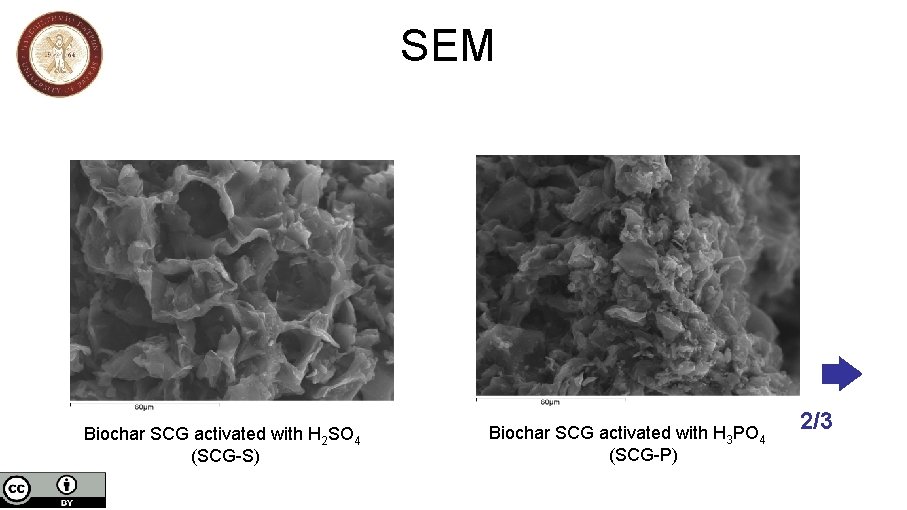 SEM Biochar SCG activated with H 2 SO 4 (SCG-S) Biochar SCG activated with