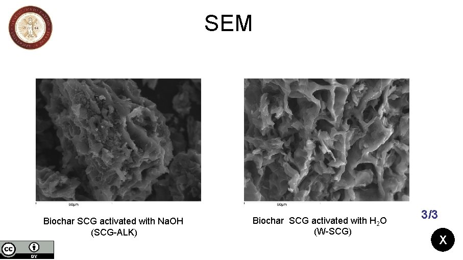 SEM Biochar SCG activated with Na. OH (SCG-ALK) Biochar SCG activated with H 2