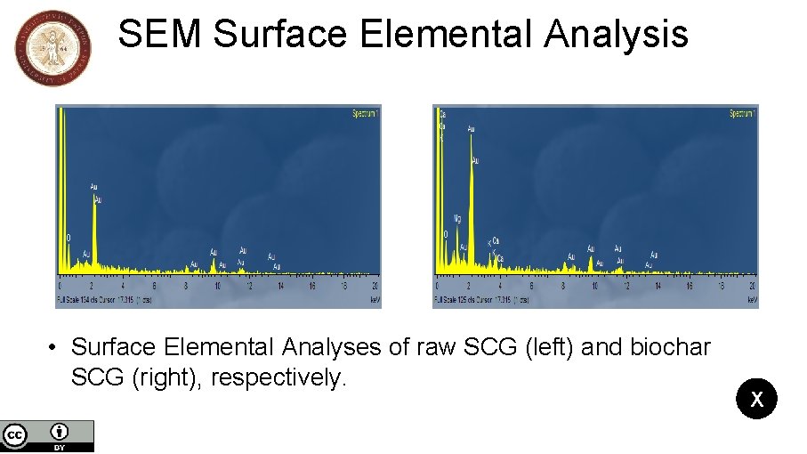 SEM Surface Elemental Analysis • Surface Elemental Analyses of raw SCG (left) and biochar