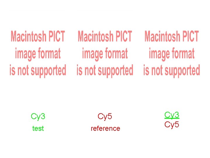 Cy 3 Cy 5 test reference Cy 3 Cy 5 