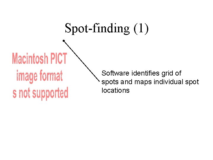 Spot-finding (1) Software identifies grid of spots and maps individual spot locations 