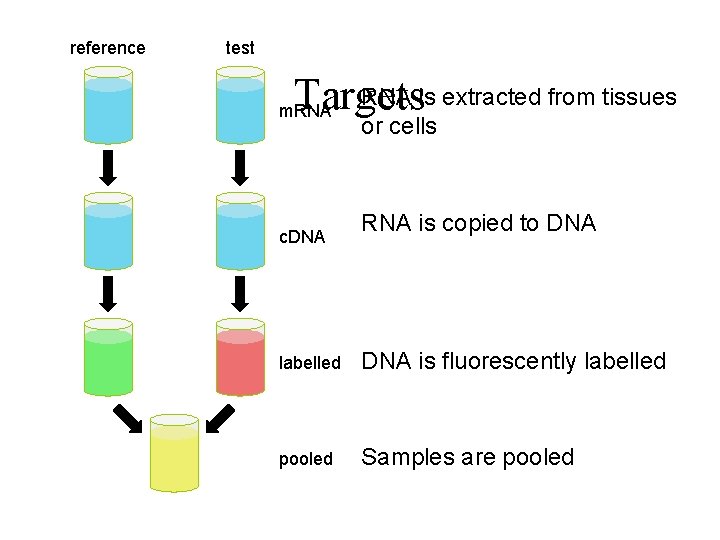 reference test RNA is extracted from tissues Targets m. RNA c. DNA or cells