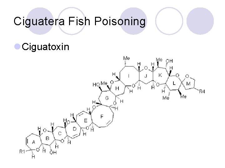 Ciguatera Fish Poisoning l Ciguatoxin 
