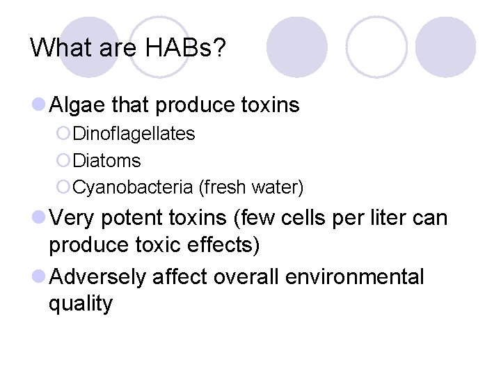 What are HABs? l Algae that produce toxins ¡Dinoflagellates ¡Diatoms ¡Cyanobacteria (fresh water) l