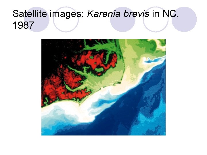 Satellite images: Karenia brevis in NC, 1987 