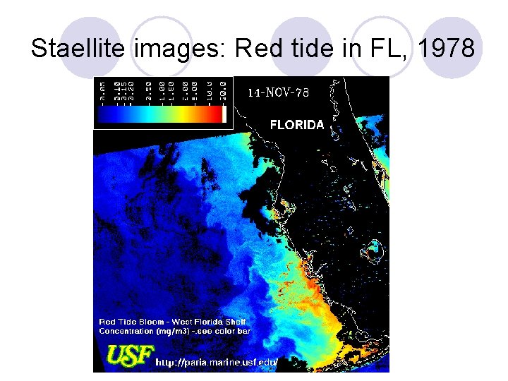 Staellite images: Red tide in FL, 1978 